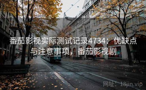番茄影视实际测试记录4734：优缺点与注意事项，番茄影视剧