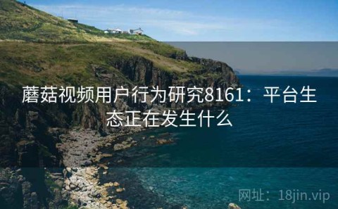 蘑菇视频用户行为研究8161：平台生态正在发生什么