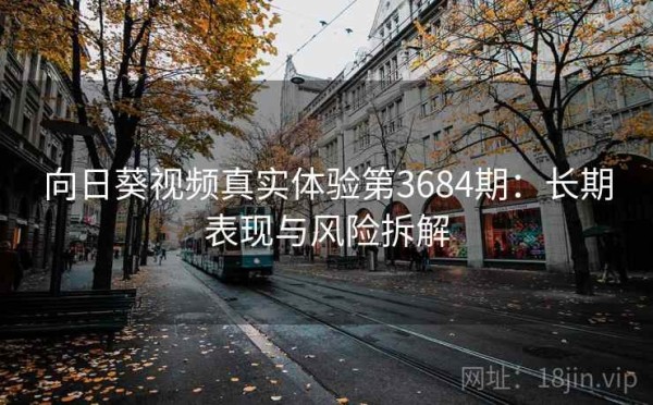 向日葵视频真实体验第3684期：长期表现与风险拆解