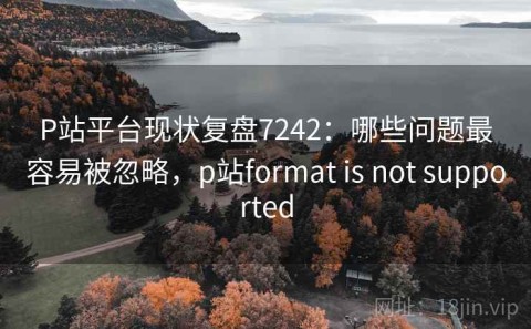 P站平台现状复盘7242：哪些问题最容易被忽略，p站format is not supported