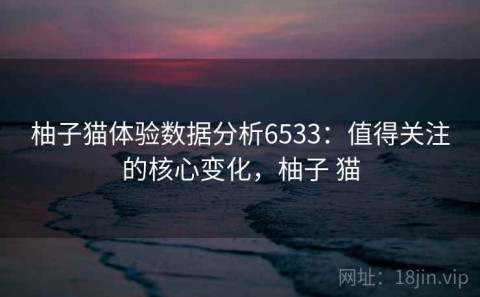 柚子猫体验数据分析6533：值得关注的核心变化，柚子 猫