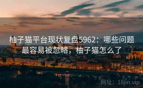 柚子猫平台现状复盘5962：哪些问题最容易被忽略，柚子猫怎么了