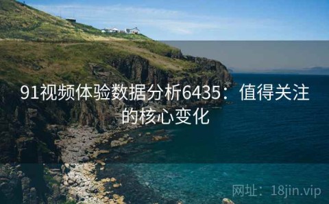 91视频体验数据分析6435：值得关注的核心变化