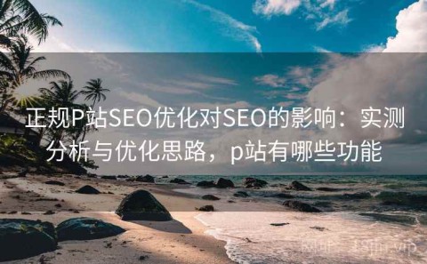 正规P站SEO优化对SEO的影响：实测分析与优化思路，p站有哪些功能