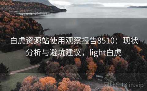 白虎资源站使用观察报告8510：现状分析与避坑建议，light白虎