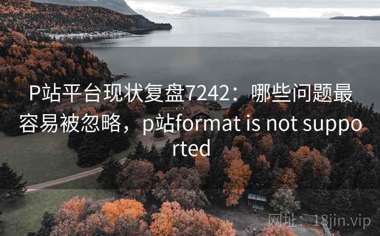 P站平台现状复盘7242：哪些问题最容易被忽略，p站format is not supported