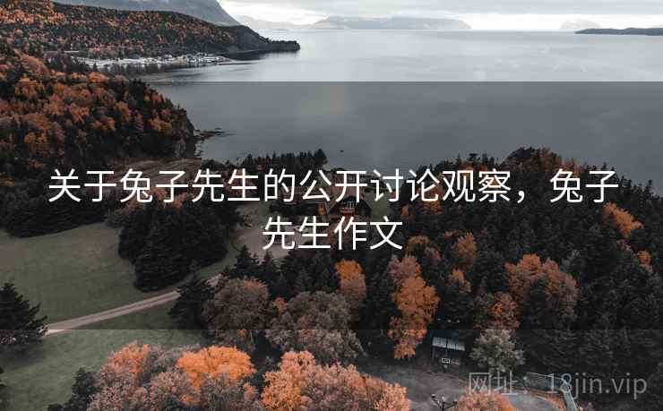 关于兔子先生的公开讨论观察，兔子先生作文