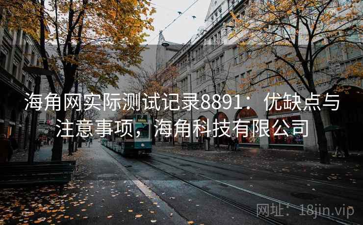 海角网实际测试记录8891：优缺点与注意事项，海角科技有限公司