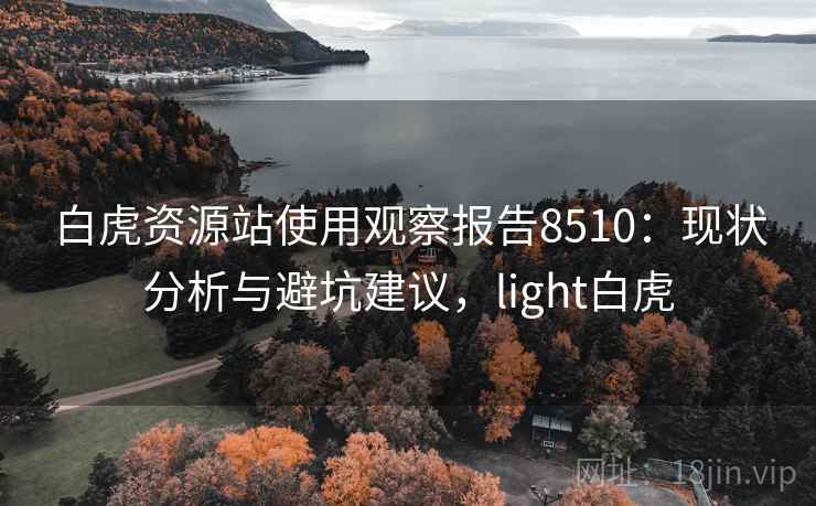 白虎资源站使用观察报告8510：现状分析与避坑建议，light白虎