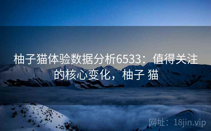 柚子猫体验数据分析6533：值得关注的核心变化，柚子 猫
