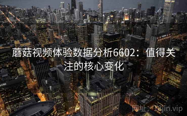 蘑菇视频体验数据分析6602：值得关注的核心变化